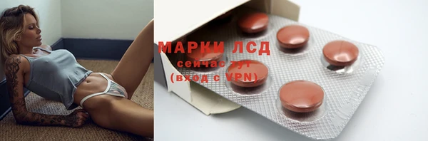 шишки Алзамай