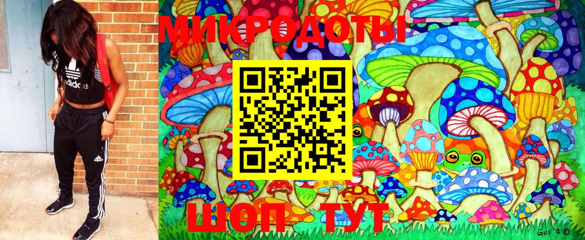 Псилоцибиновые грибы Psilocybine cubensis Кириши
